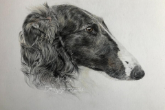 Portrait of Reuben by Emily Hollister