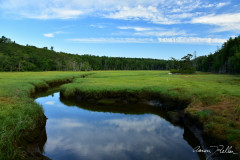 Sprague River Salt Marsh by Aaron Keller