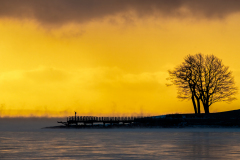 Winter Morning Camden Harbor by Dick Tarr